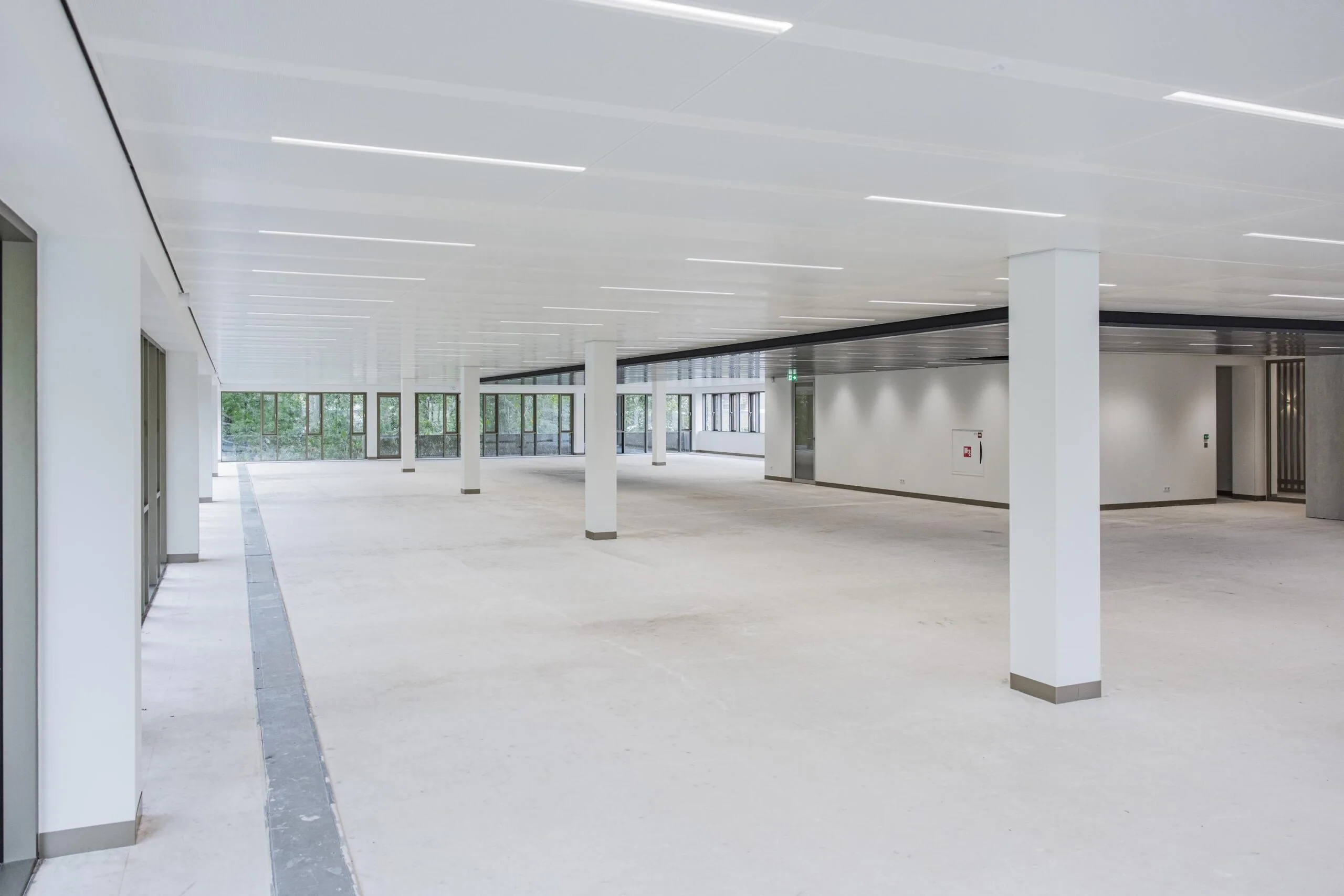 Spacious and modern empty office floor in the Walborg building with large windows and white interior.