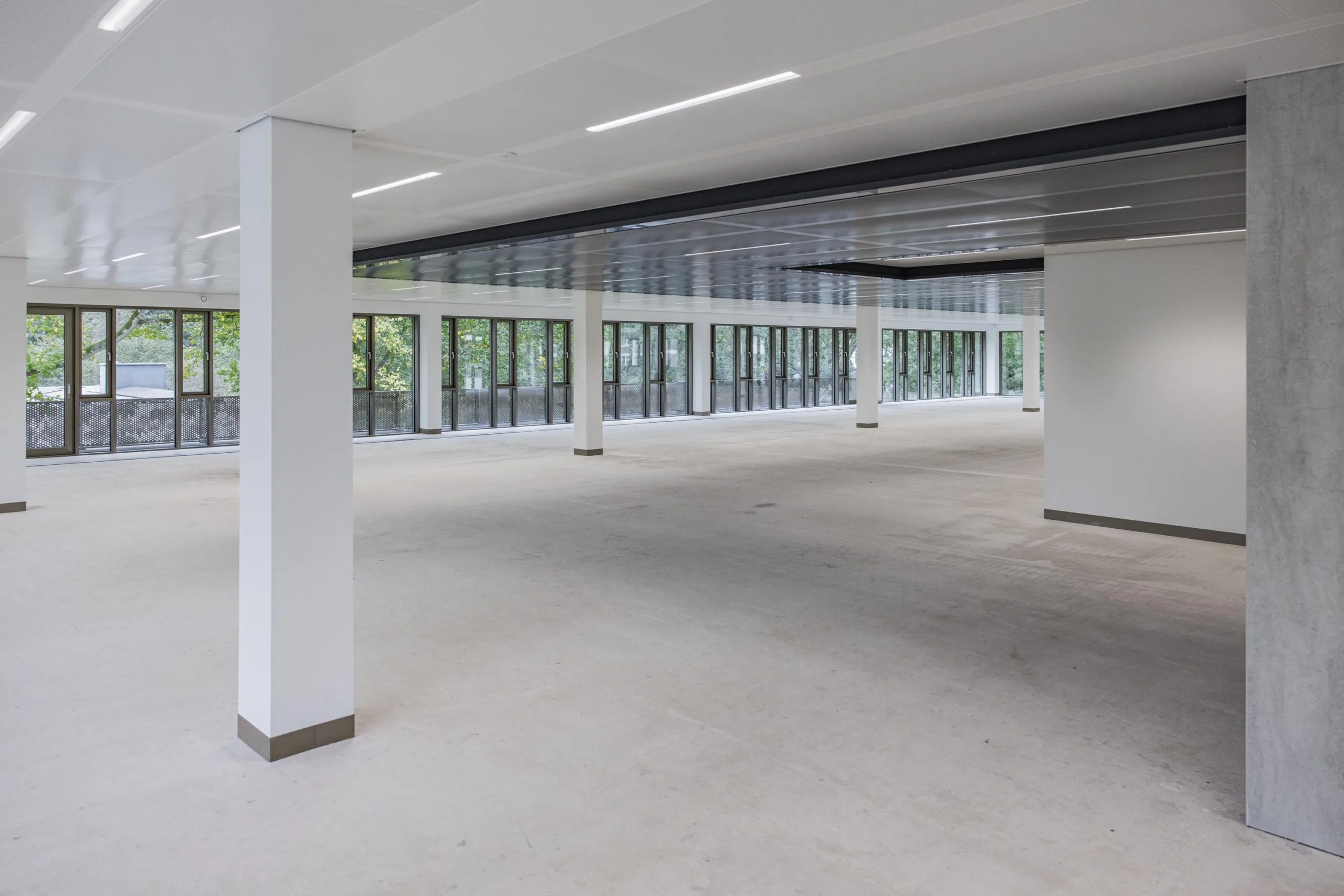 Modern empty office space in the Walborg building with large windows and structural columns.