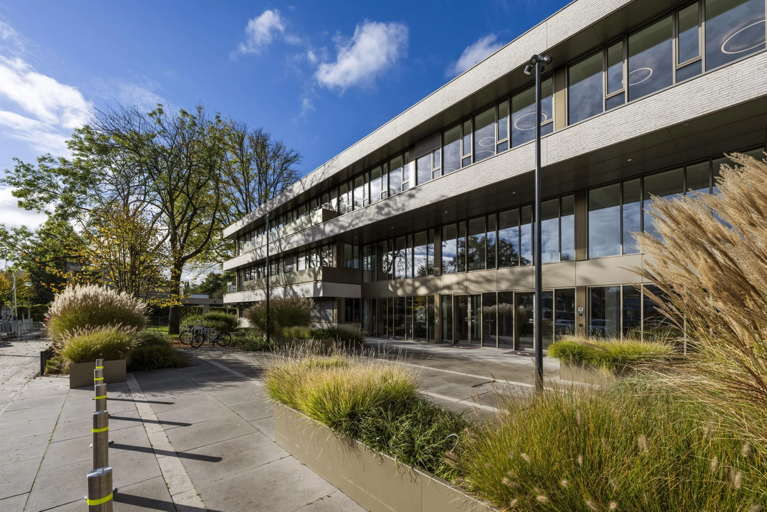 Modern office building "Walborg 2" with large windows, surrounded by ornamental grasses and trees under a blue sky.