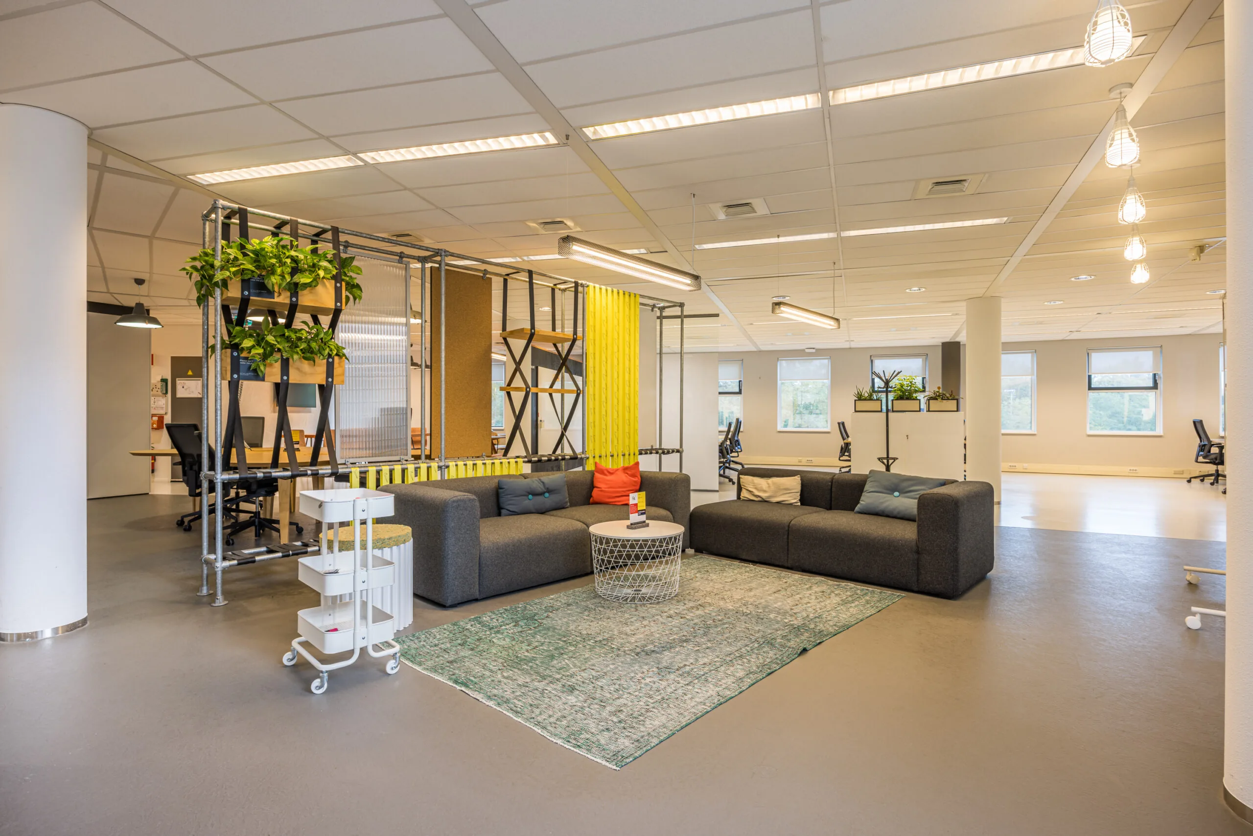 Modern open office space with lounge area, grey sofas, a green rug, and decorative shelving with plants.
