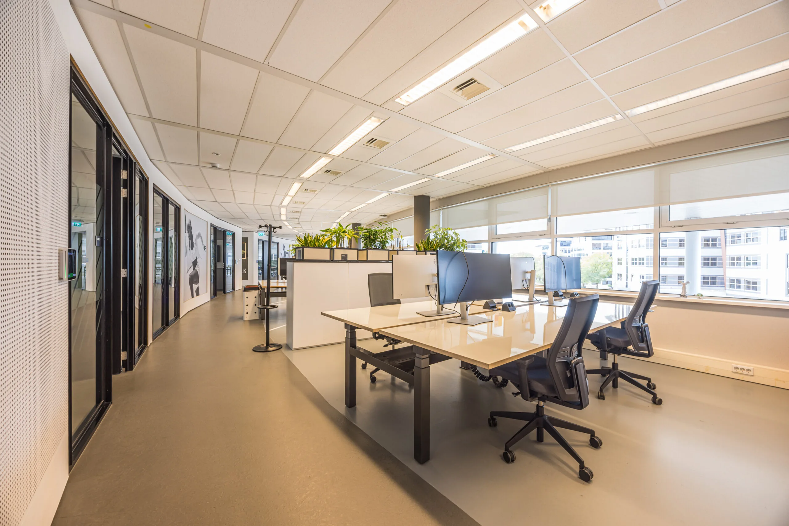 Modern open-plan office space with large windows, ergonomic chairs, computer workstations, and indoor plants.