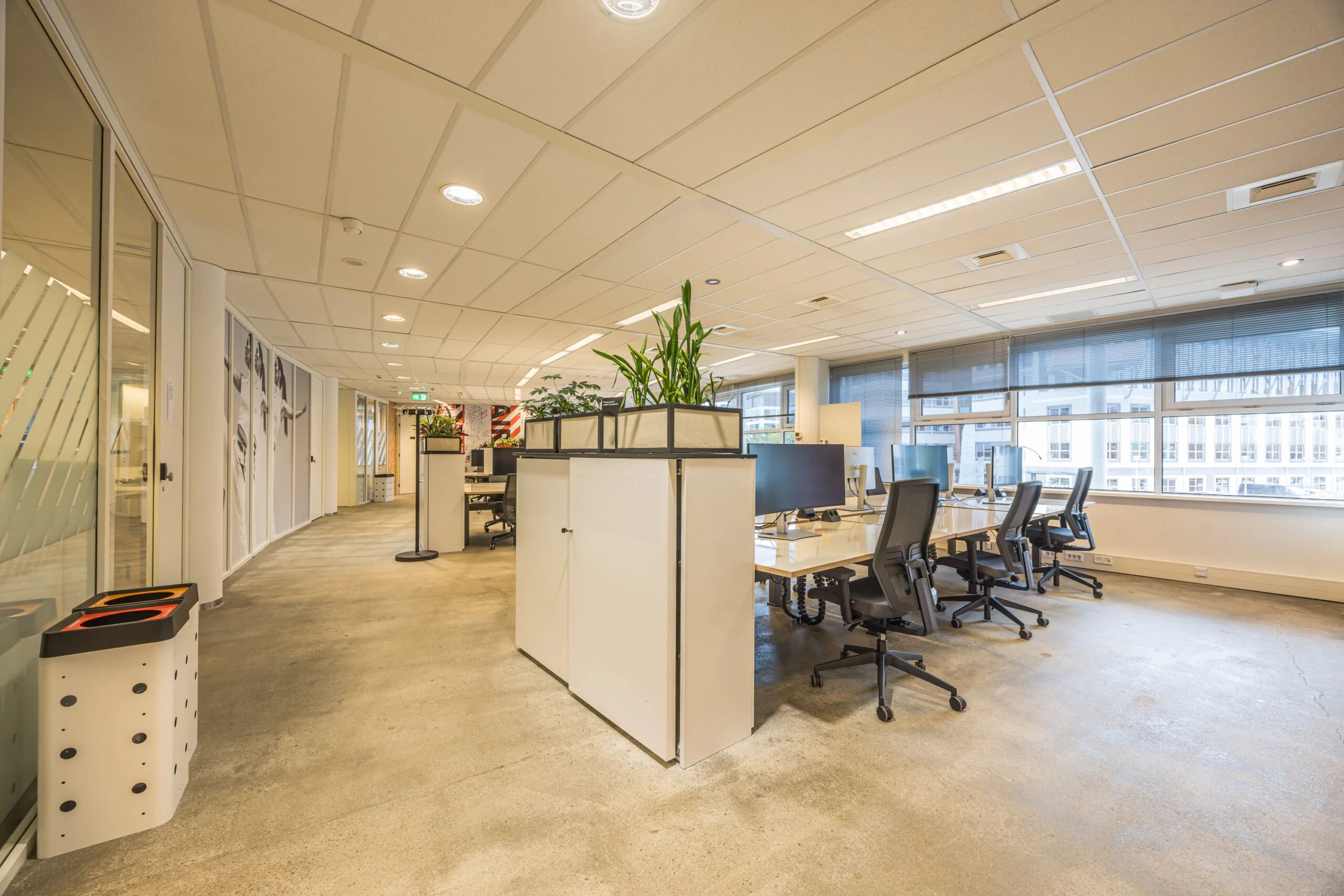Modern open-plan office space at Olympia with shared desks, ergonomic chairs, and natural light.