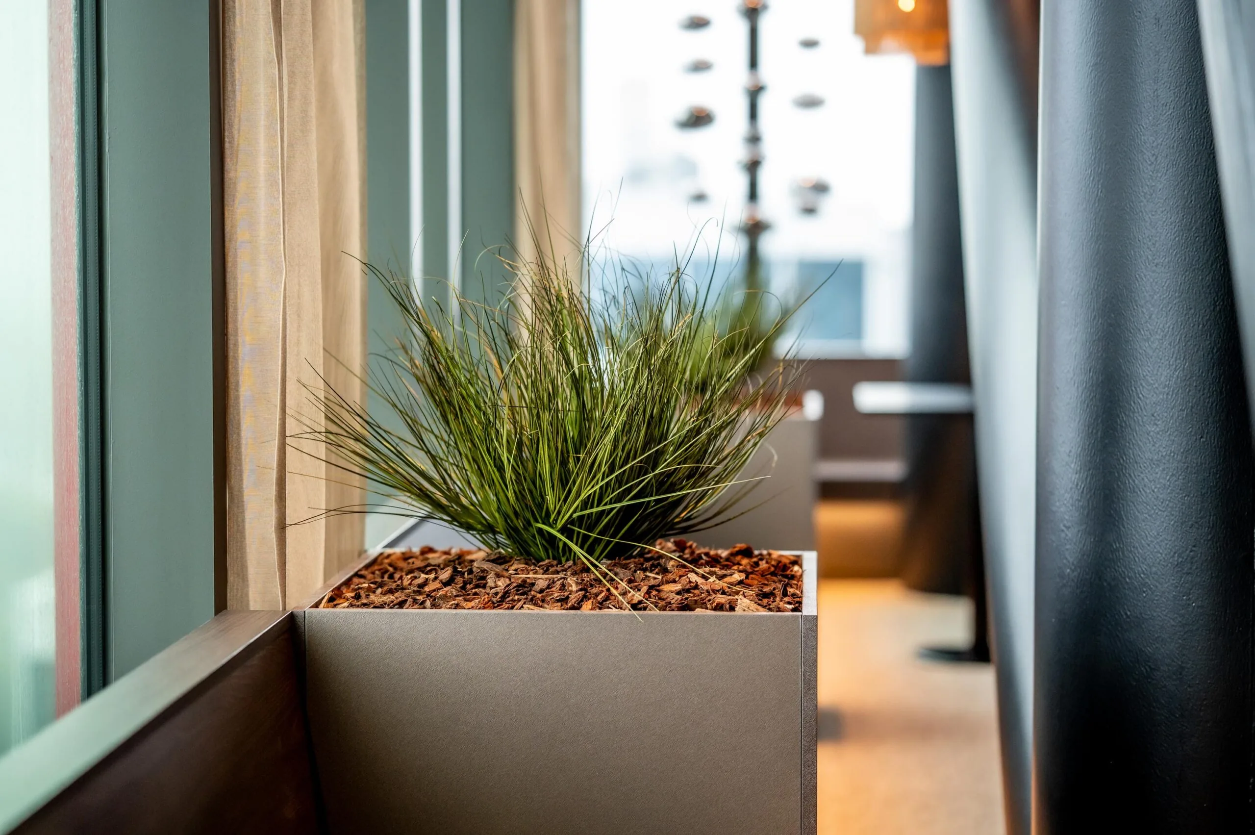 Modern indoor plant arrangement in a sleek rectangular planter on the P.J. Oudweg office window sill.