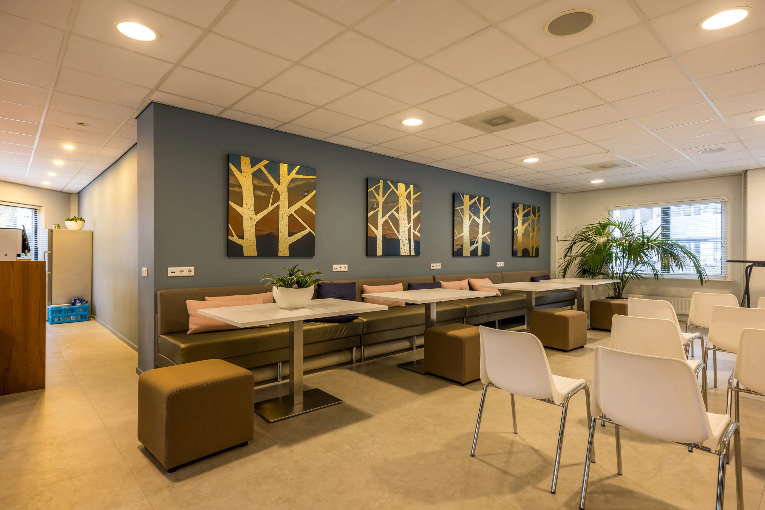 Modern waiting room with white chairs, bench seating, tree-themed wall art, and indoor plants.