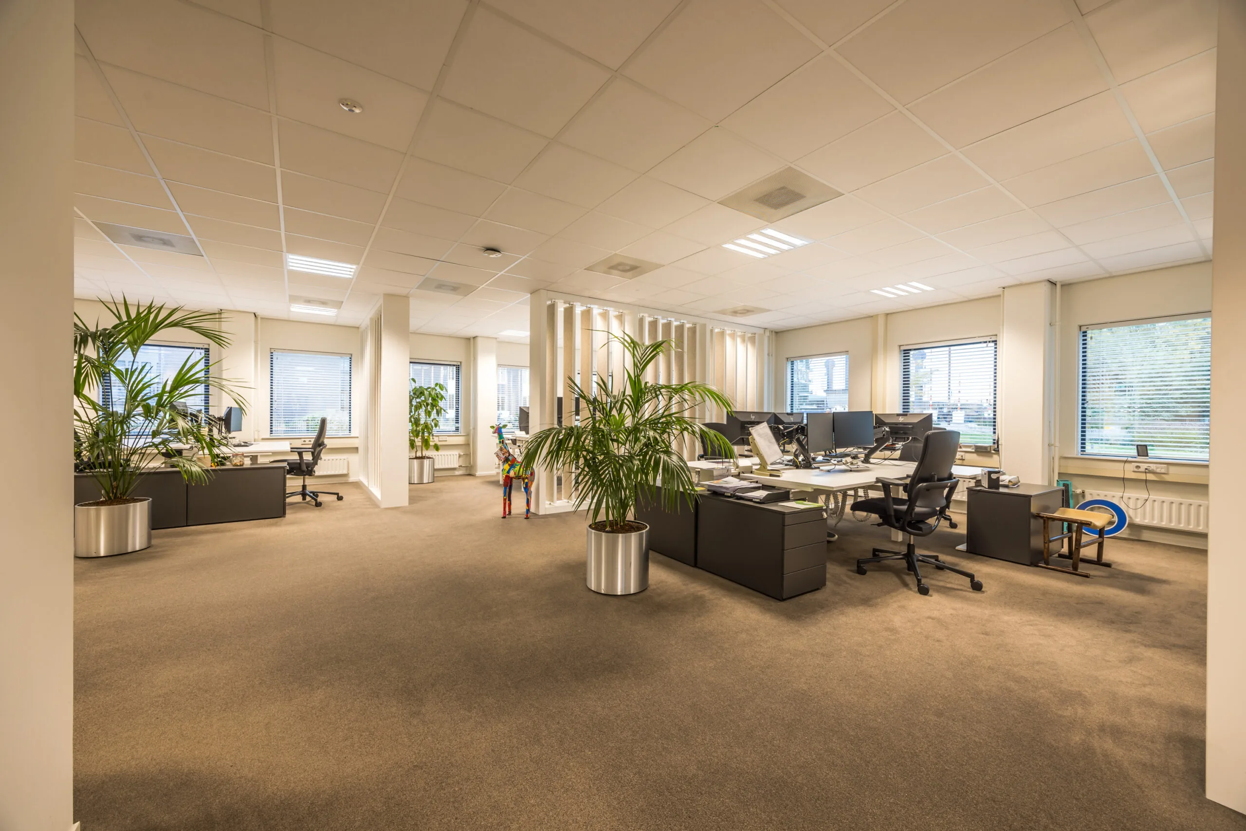 Modern open-plan office space with several desks, office chairs, computers, and large potted plants near windows.