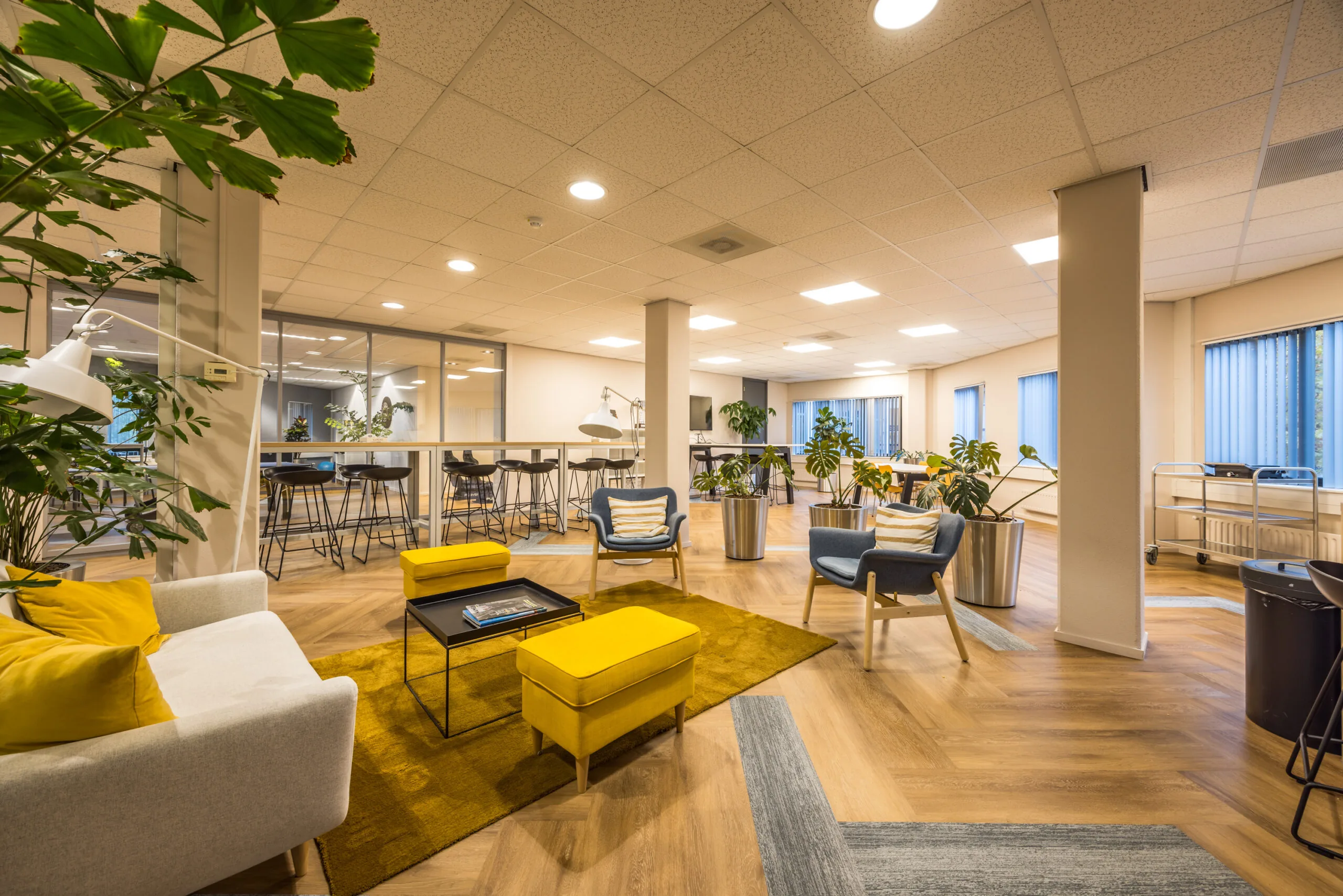 Modern open office space with comfortable seating, indoor plants, and warm lighting at Krijtwal 251563384.