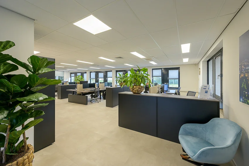 Modern open-plan office space at Ebweg with workstations, indoor plants, and natural lighting.