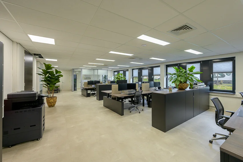 Modern open-plan office interior with multiple workstations, large plants, and natural light from wide windows.