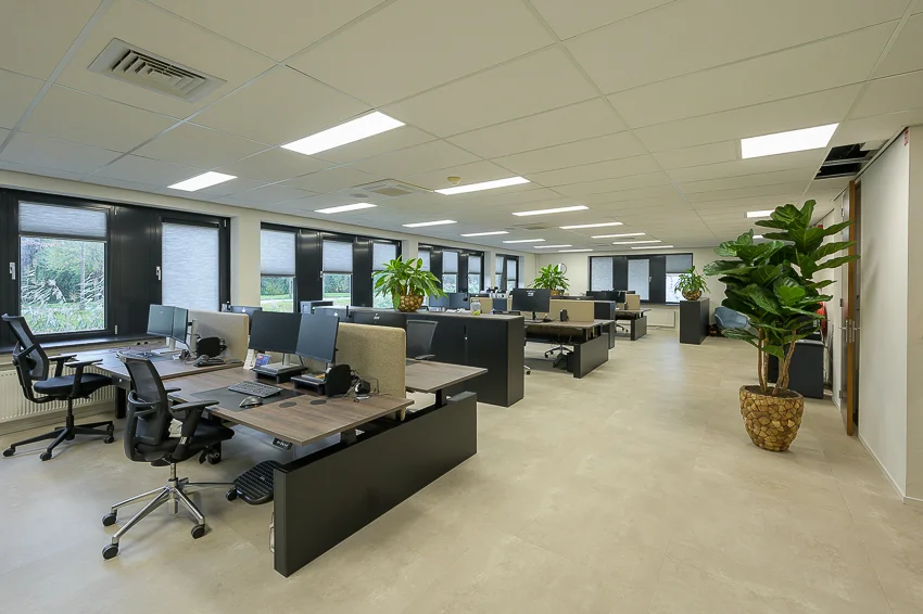 Modern open-plan office space on Ebweg with multiple workstations, ergonomic chairs, and indoor plants.