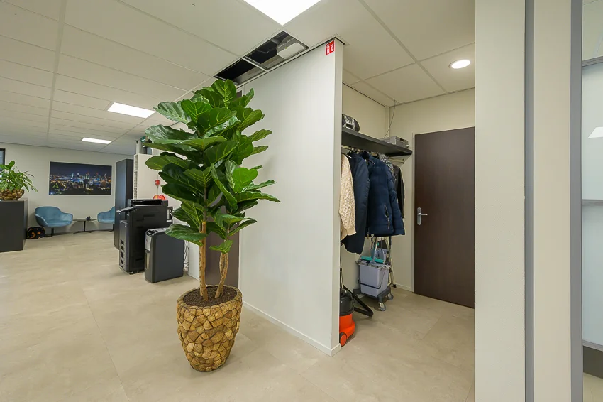 Modern office hallway with a large potted plant, a coat rack, and visible ceiling maintenance.