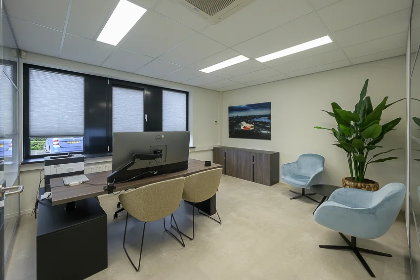 Modern office interior with a desk setup, two guest chairs, a seating area with blue armchairs, and a large plant.