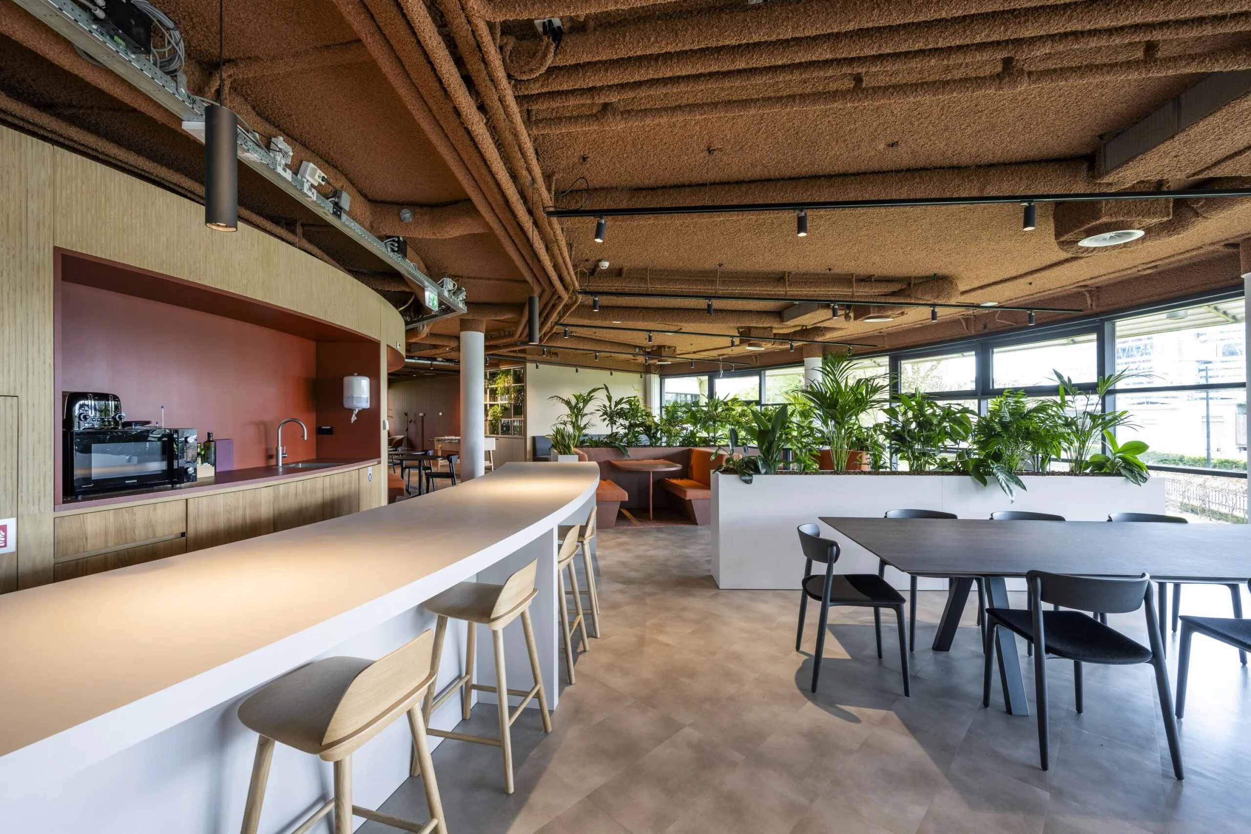 Modern office kitchen and seating area with natural light, wooden finishes, and abundant indoor plants at Omval 252611574.
