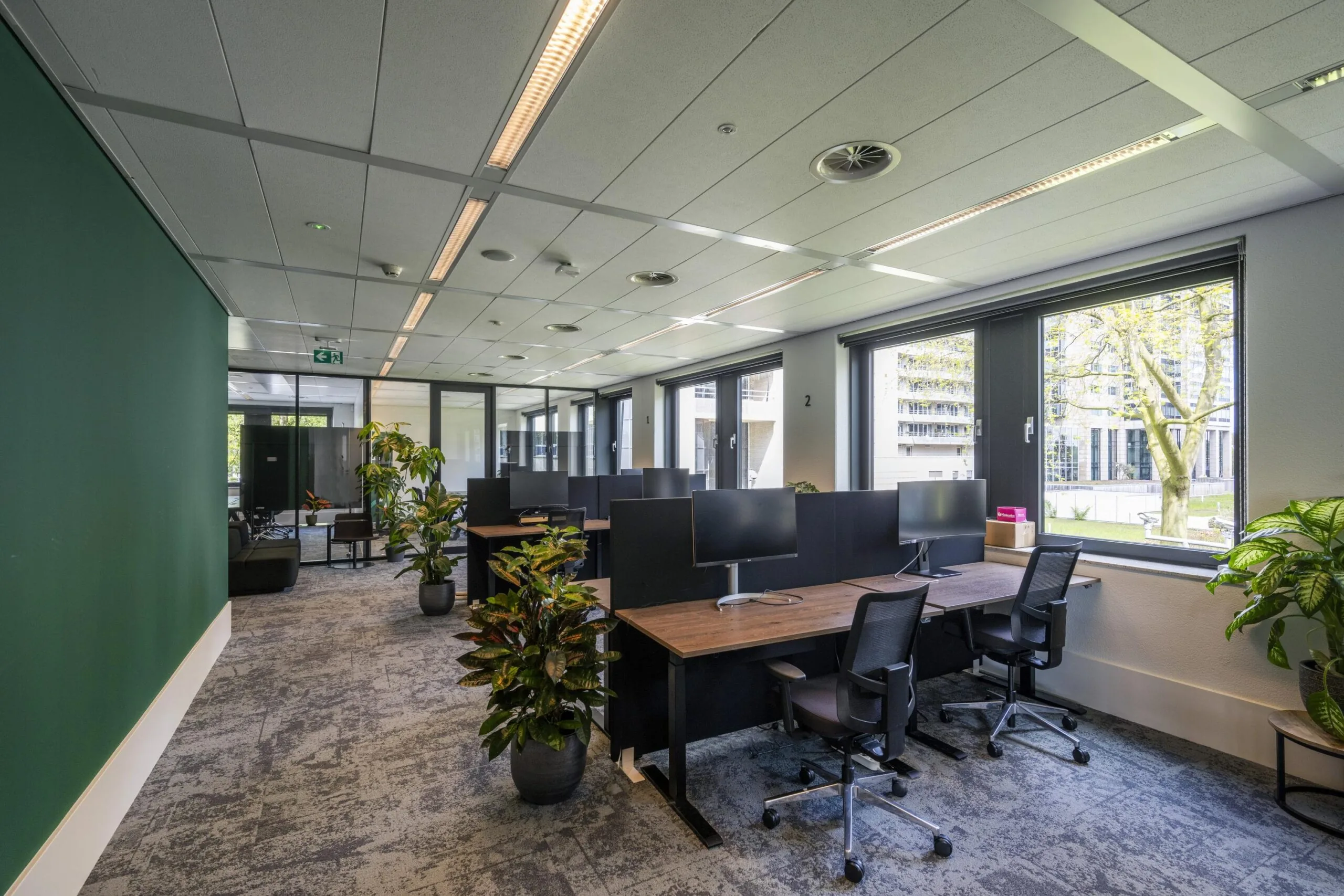 Modern open-plan office space at Omval featuring workstations, indoor plants, and large windows with a view of a cityscape.