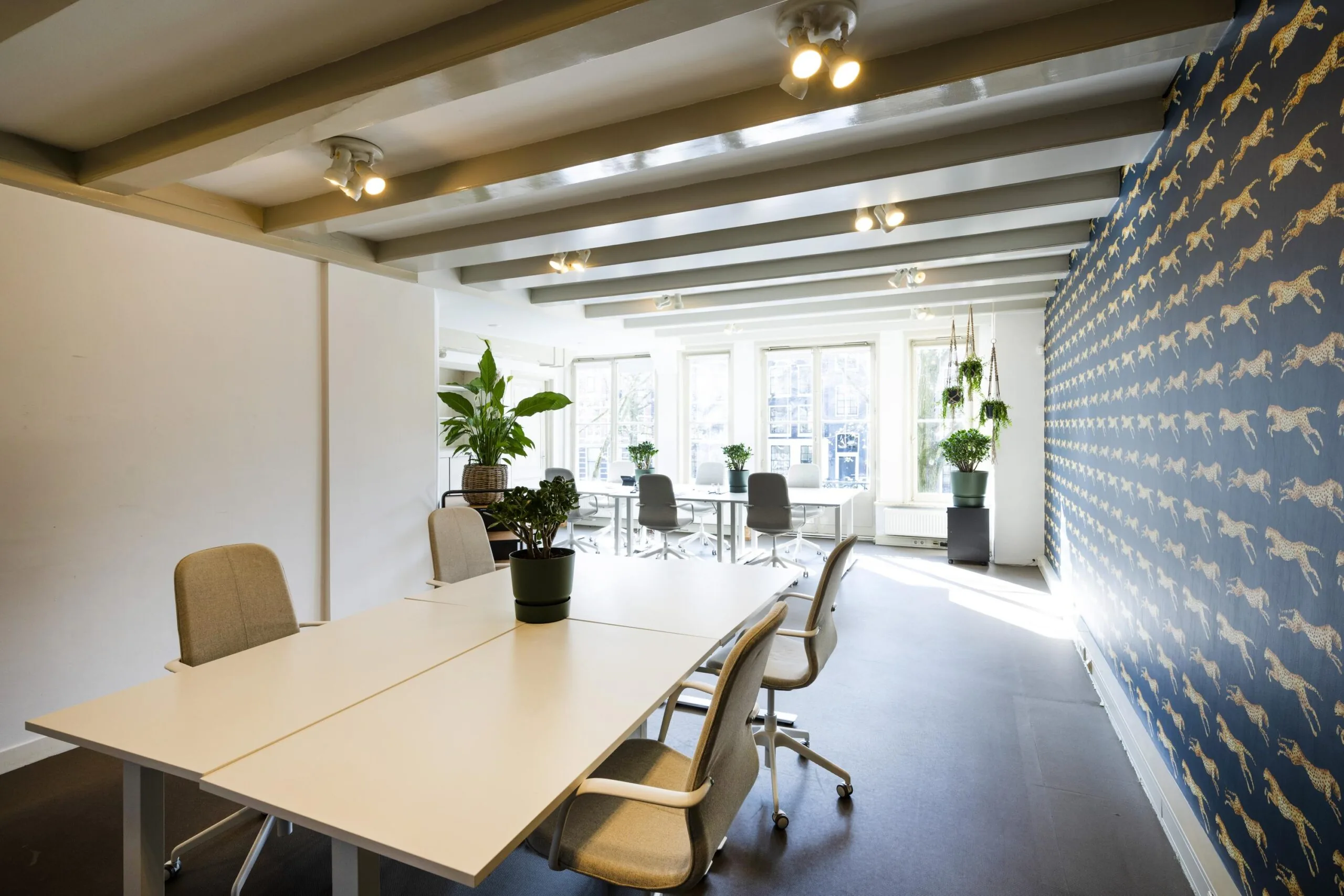 Modern office space on Leidsegracht with large windows, indoor plants, and a blue accent wall featuring a cheetah pattern.