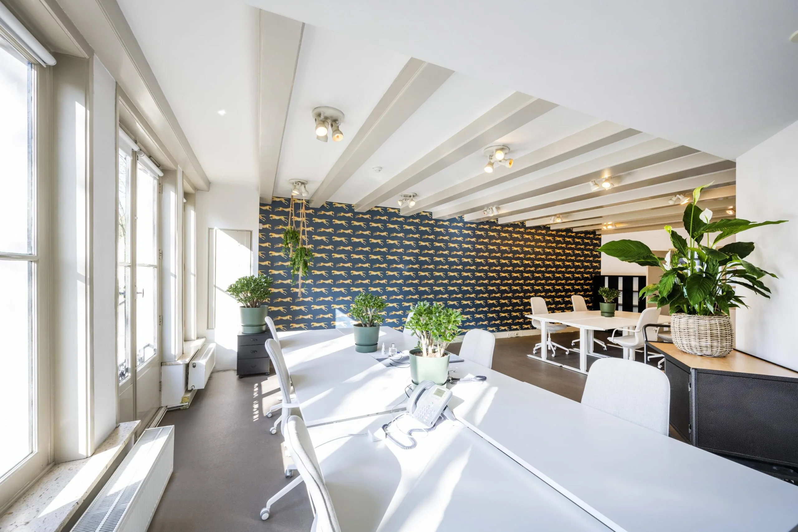 Bright and modern office space on Leidsegracht with white desks, indoor plants, and a feature wall with a repeating cheetah pattern.