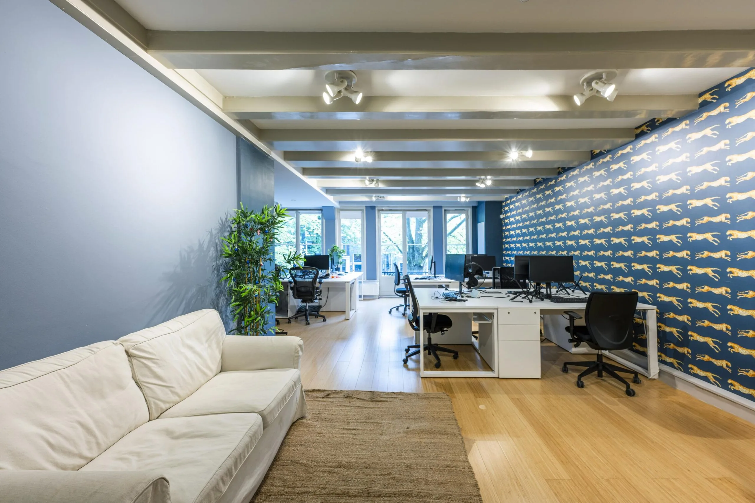 Modern office interior on Leidsegracht with shared desks, a white couch, and a blue wall decorated with yellow cheetah illustrations.