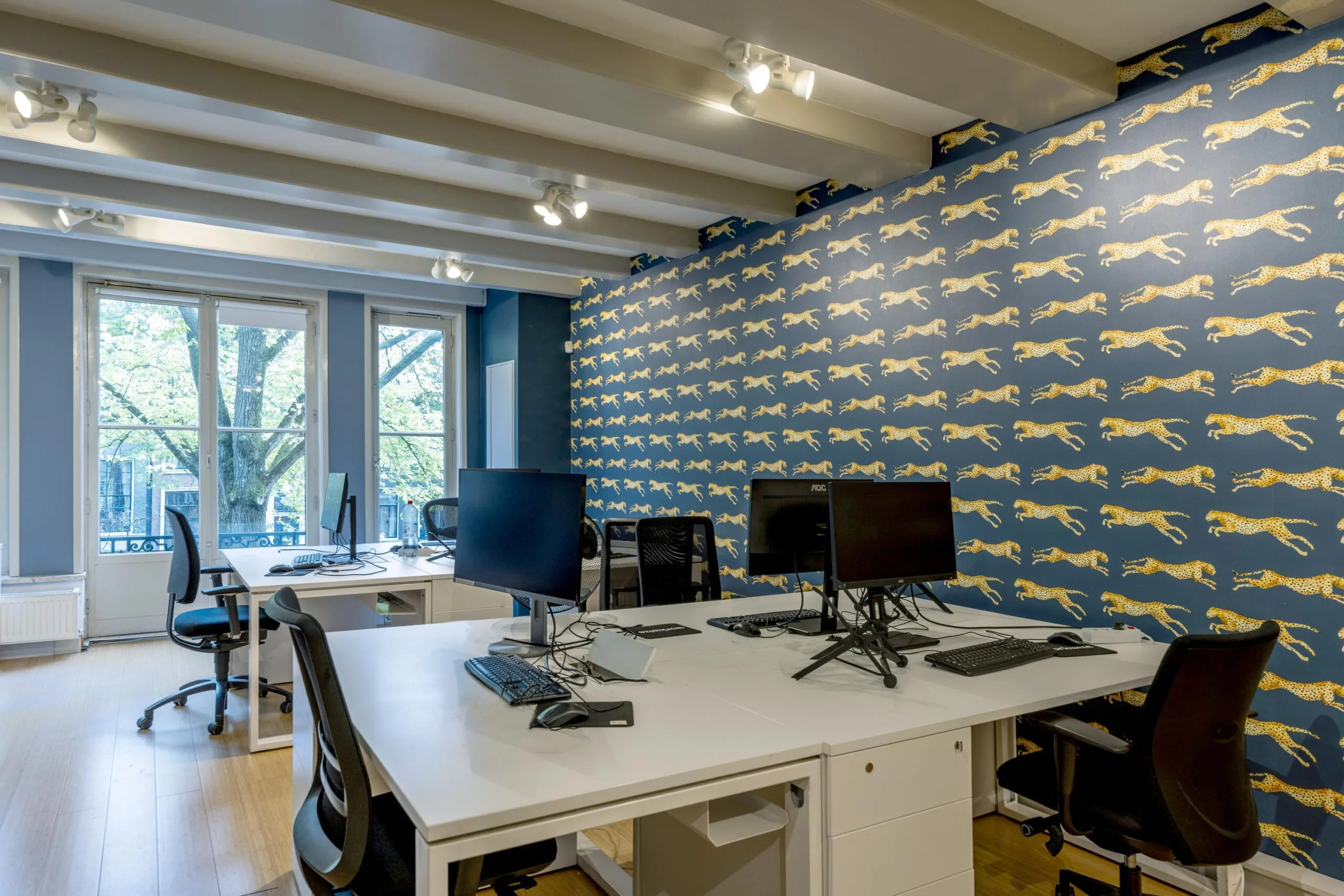 Modern office space on Leidsegracht with large windows, multiple desks, and a striking blue wall featuring a cheetah pattern.