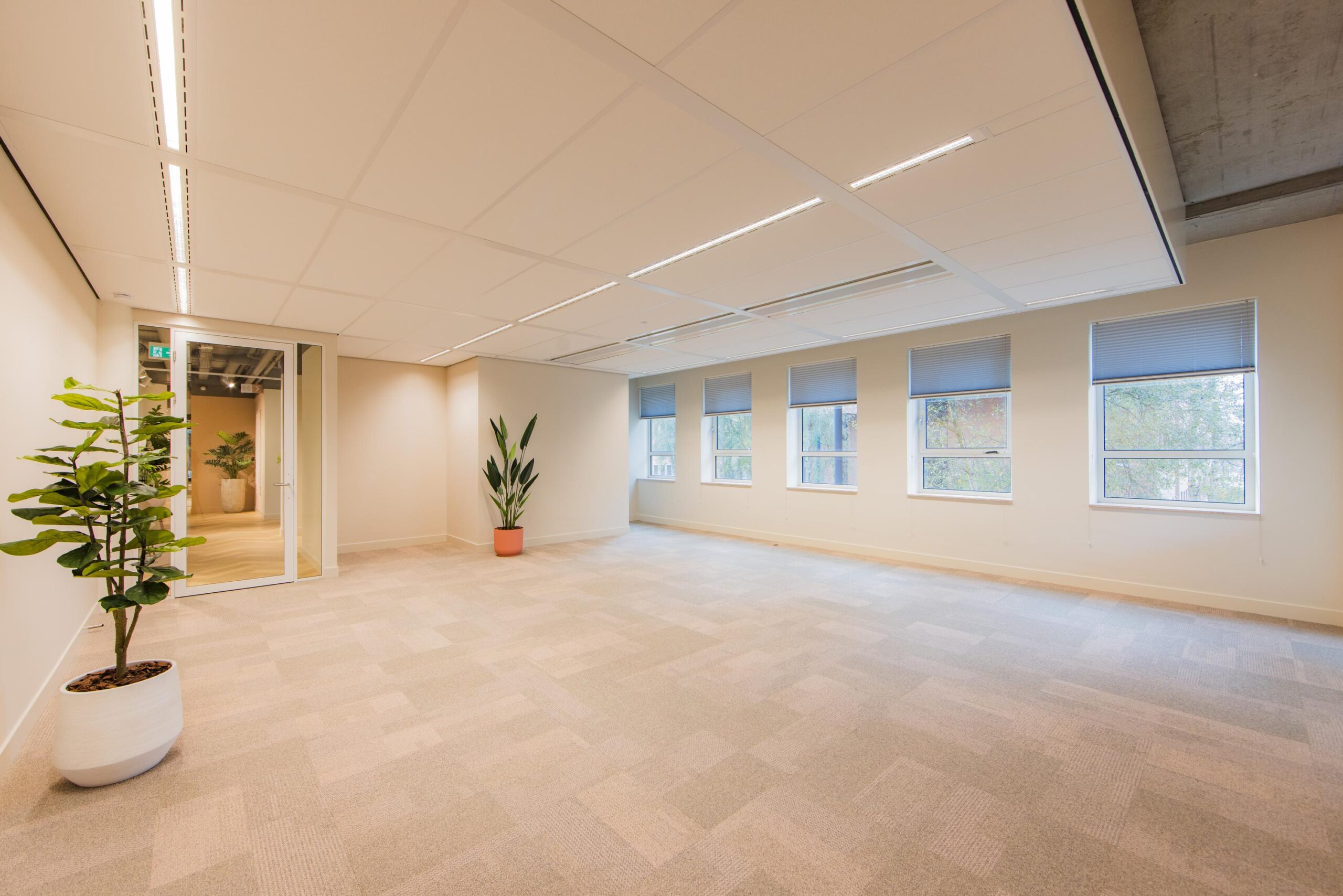 Modern empty office space on Hullenbergweg with large windows, beige carpet, and potted plants.