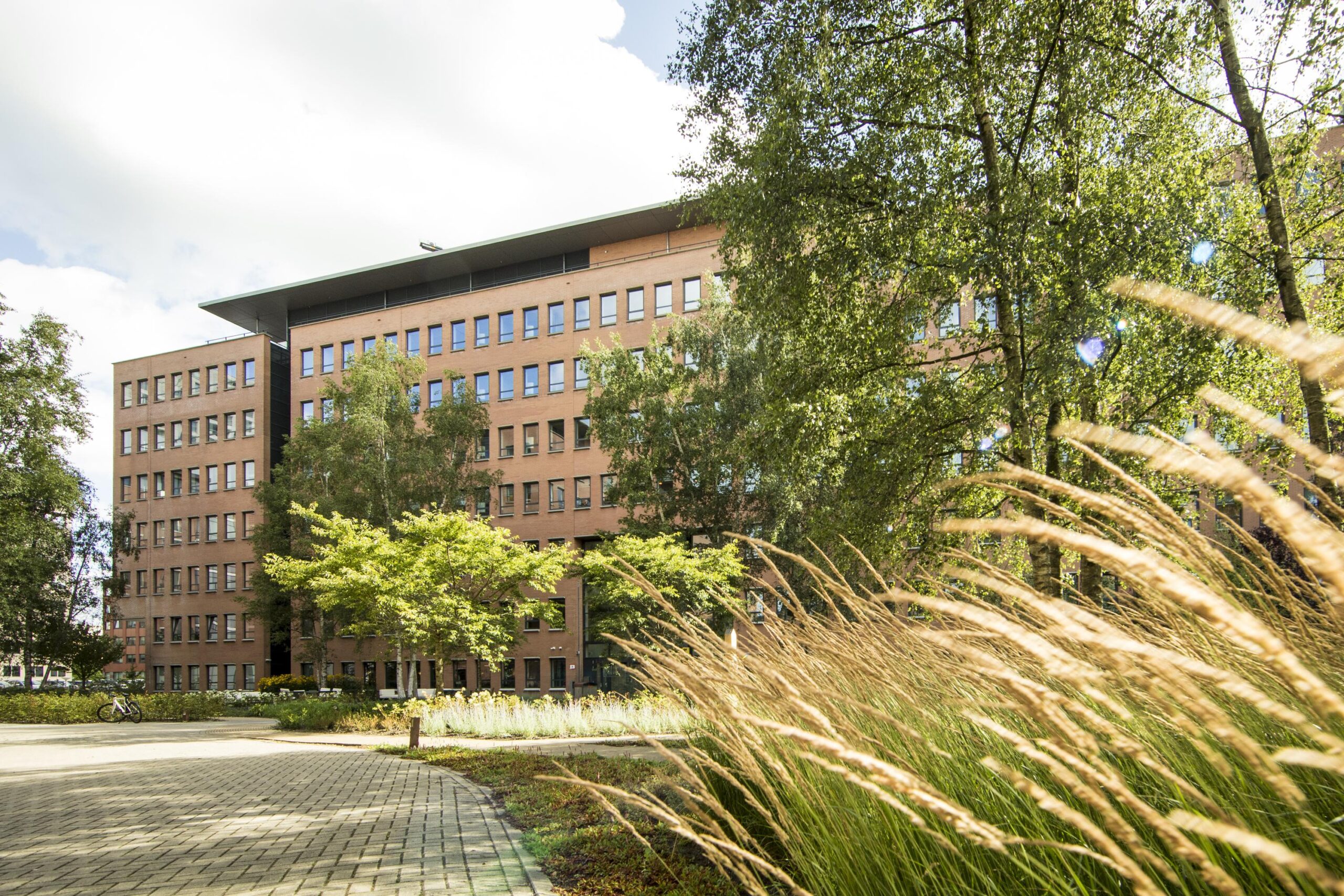 Modern office building at Hullenbergweg surrounded by greenery and tall grass on a sunny day.