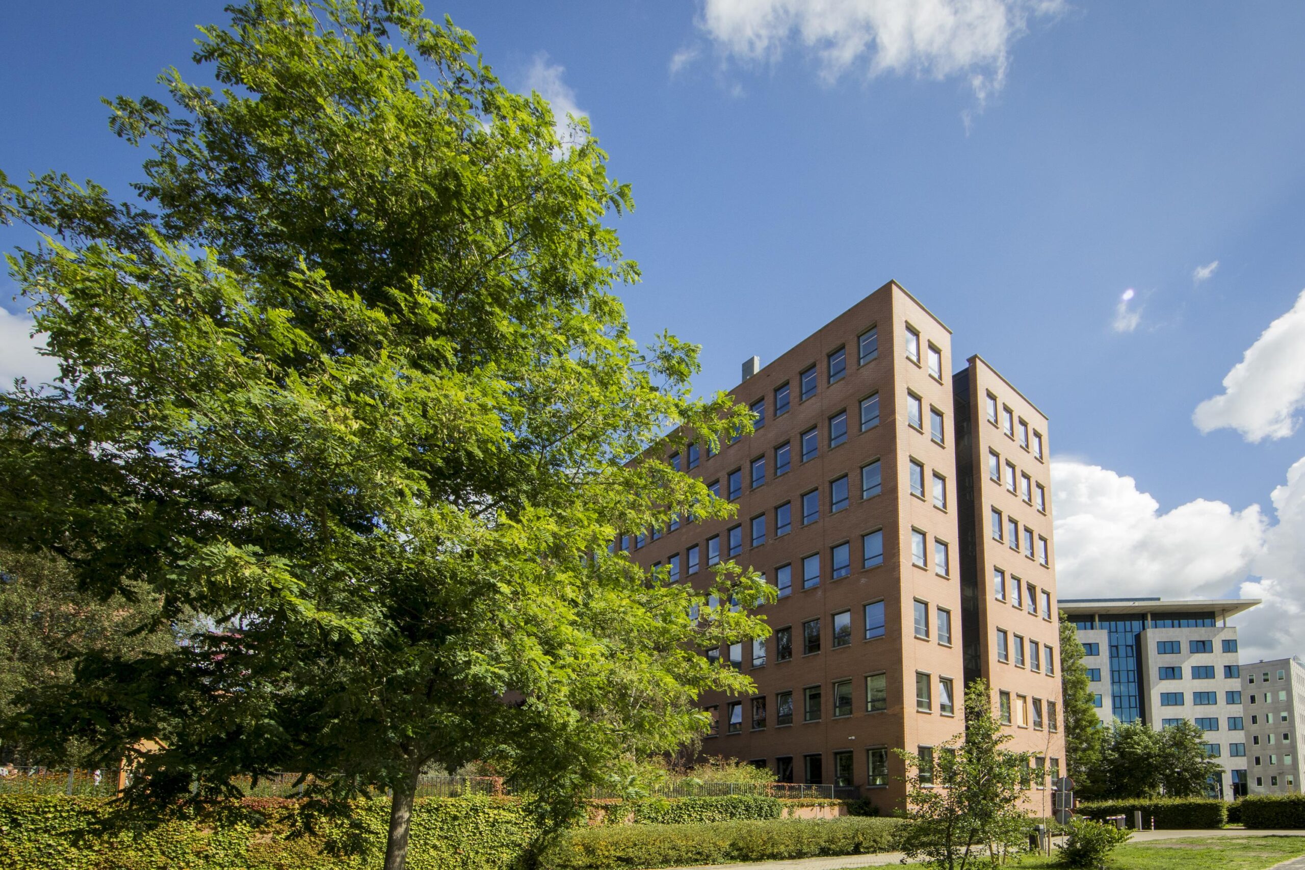 Modern office building on Hullenbergweg surrounded by greenery under a blue sky.