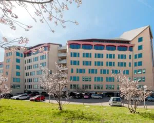 Lichtgekleurde kantoorgebouw 258_2160 met blauwe ramen en bloesembomen op de voorgrond op een zonnige dag.