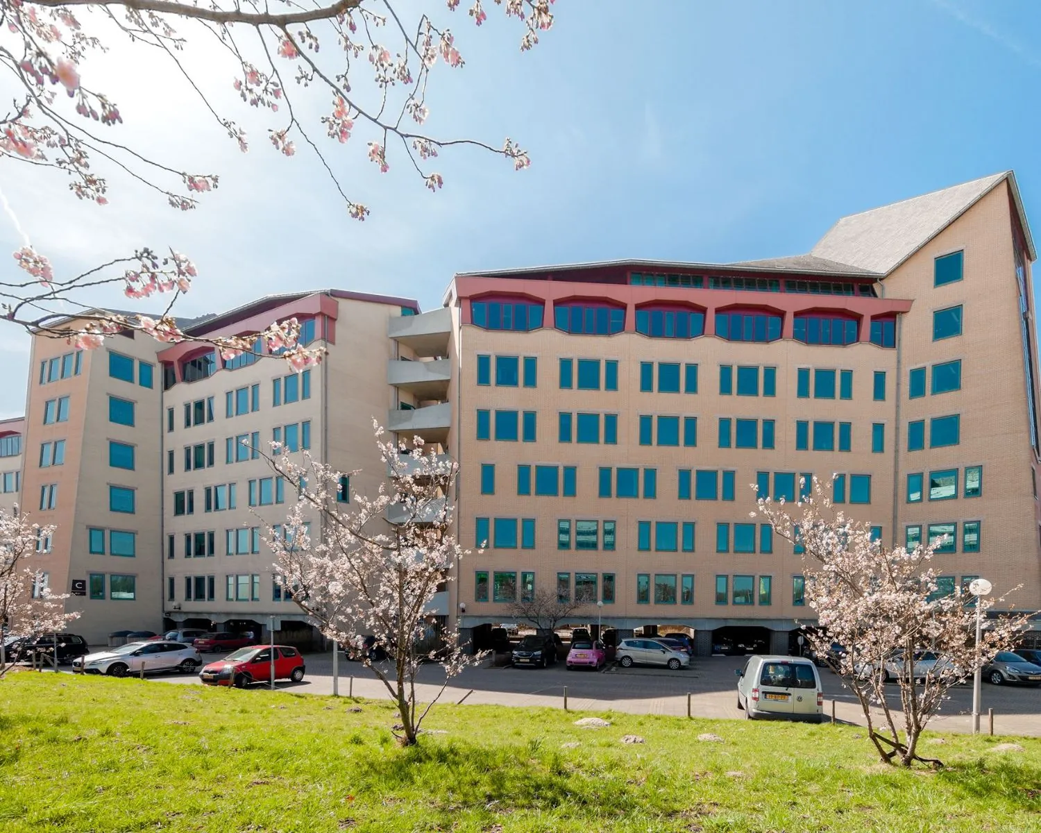 Lichtgekleurde kantoorgebouw 258_2160 met blauwe ramen en bloesembomen op de voorgrond op een zonnige dag.