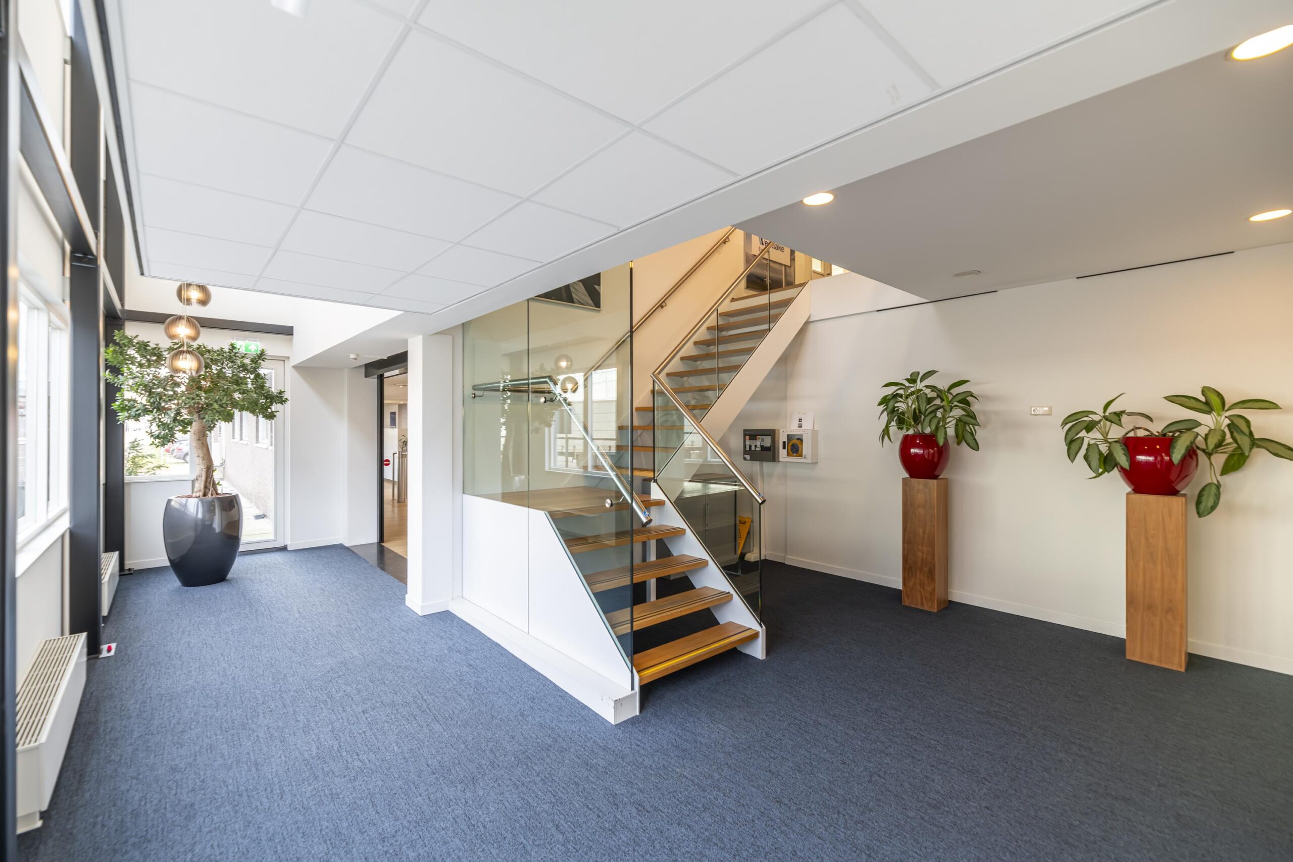 Moderne kantoorentree met glazen trap, blauwe vloerbedekking en grote planten in rode potten.