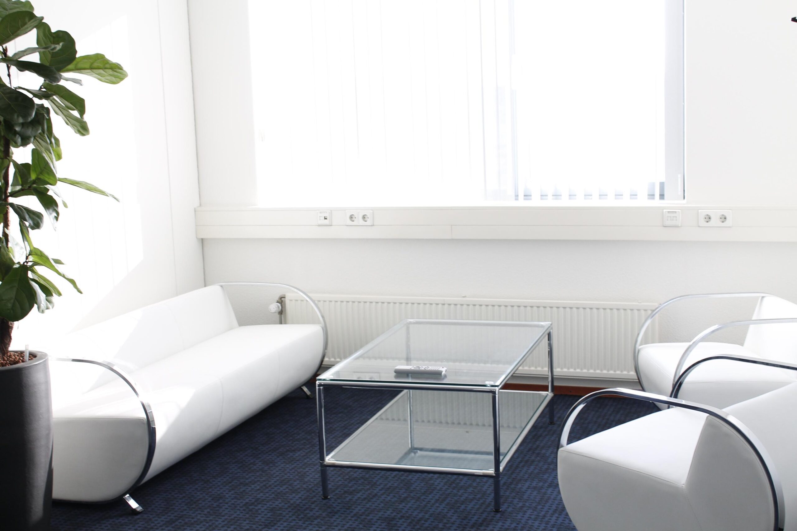 Witte wachtruimte met moderne meubels, glazen salontafel en grote kamerplant aan de Laan van ’s-Gravenmade.
