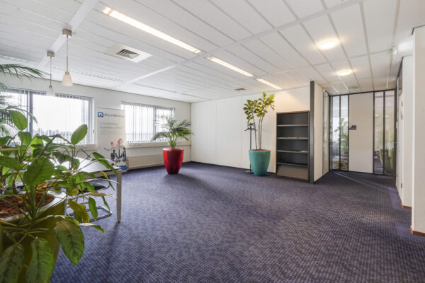 Moderne kantoorruimte aan Laan van s-Gravenmade met blauwe vloerbedekking, grote planten in gekleurde potten en een banner van NorthBridge bij het raam.