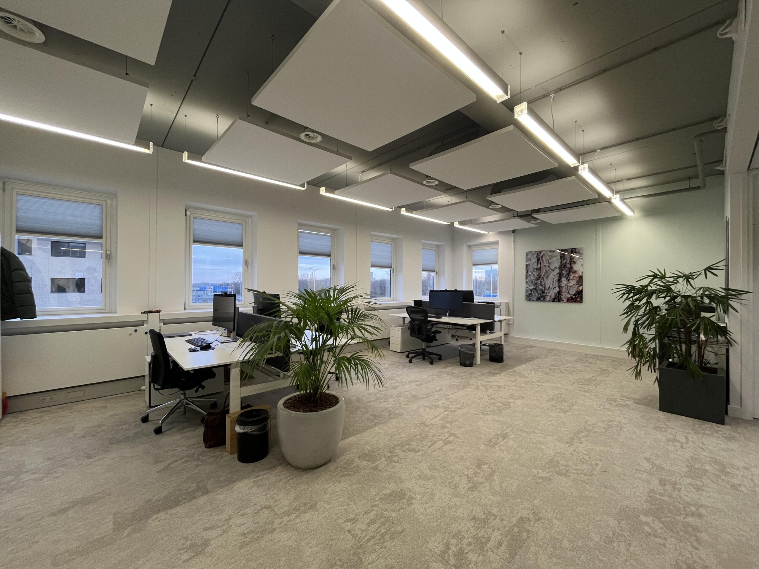 Moderne en lichte kantoorruimte aan de Euclideslaan met werkplekken, planten en akoestische panelen aan het plafond.