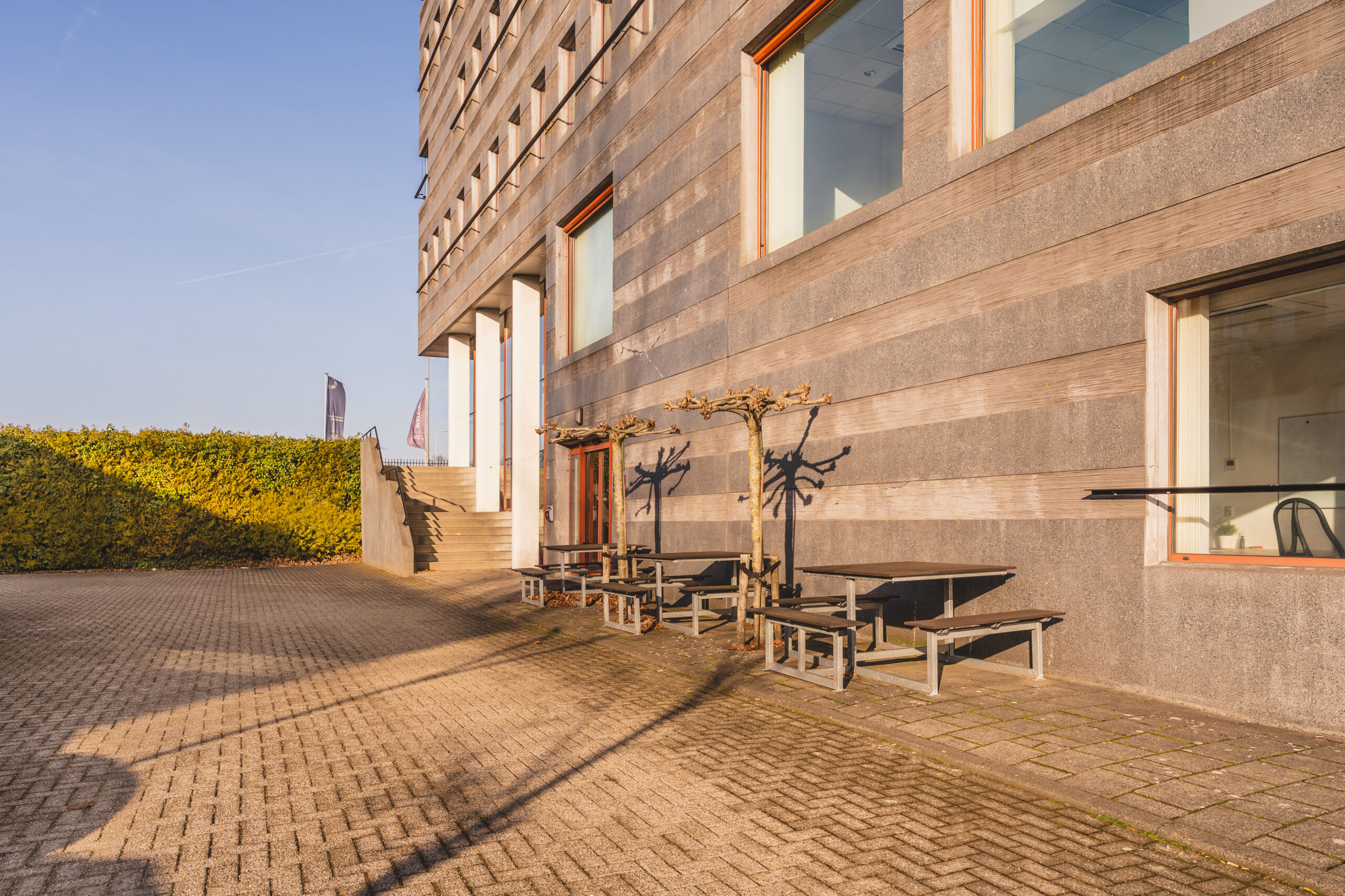 De zonovergoten buitenruimte met tafels en ligusterhagen grenst aan de betegelde gevel van een kantoorgebouw.