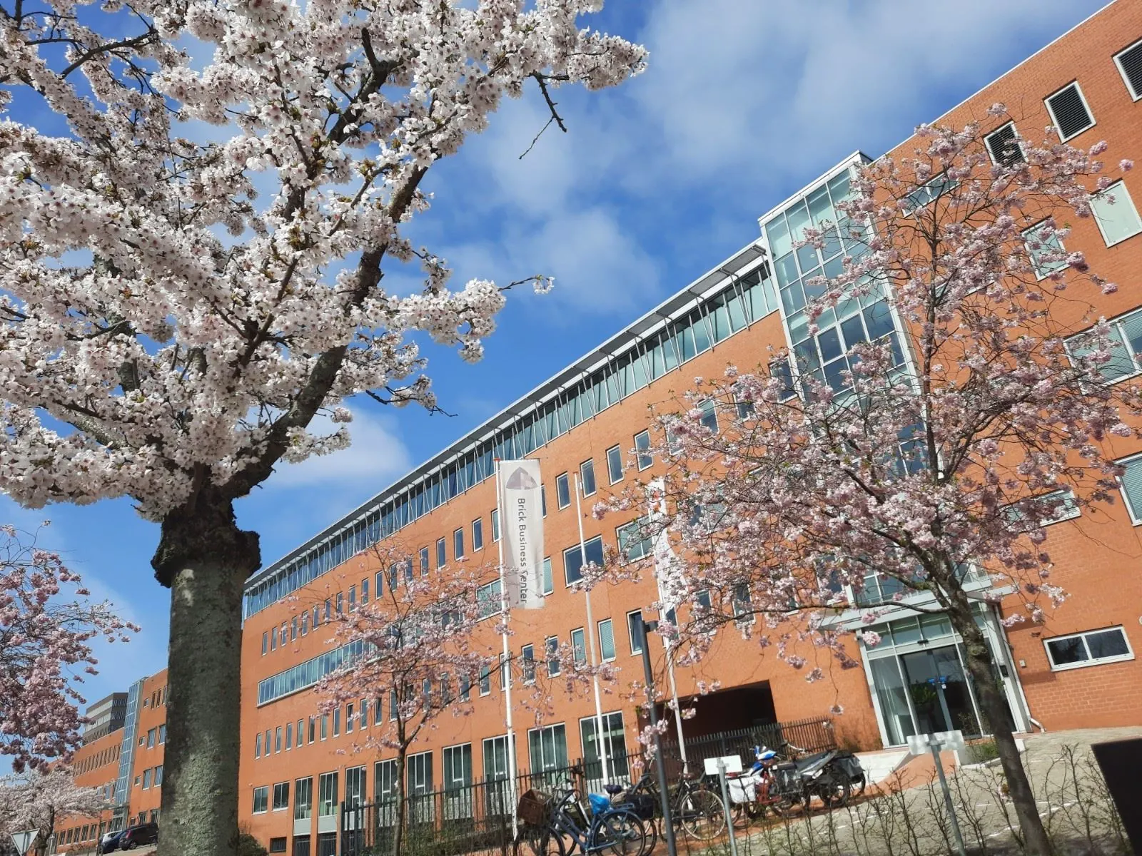 Kantoorgebouw van Brick Business Center met bloeiende kersenbomen op de voorgrond.