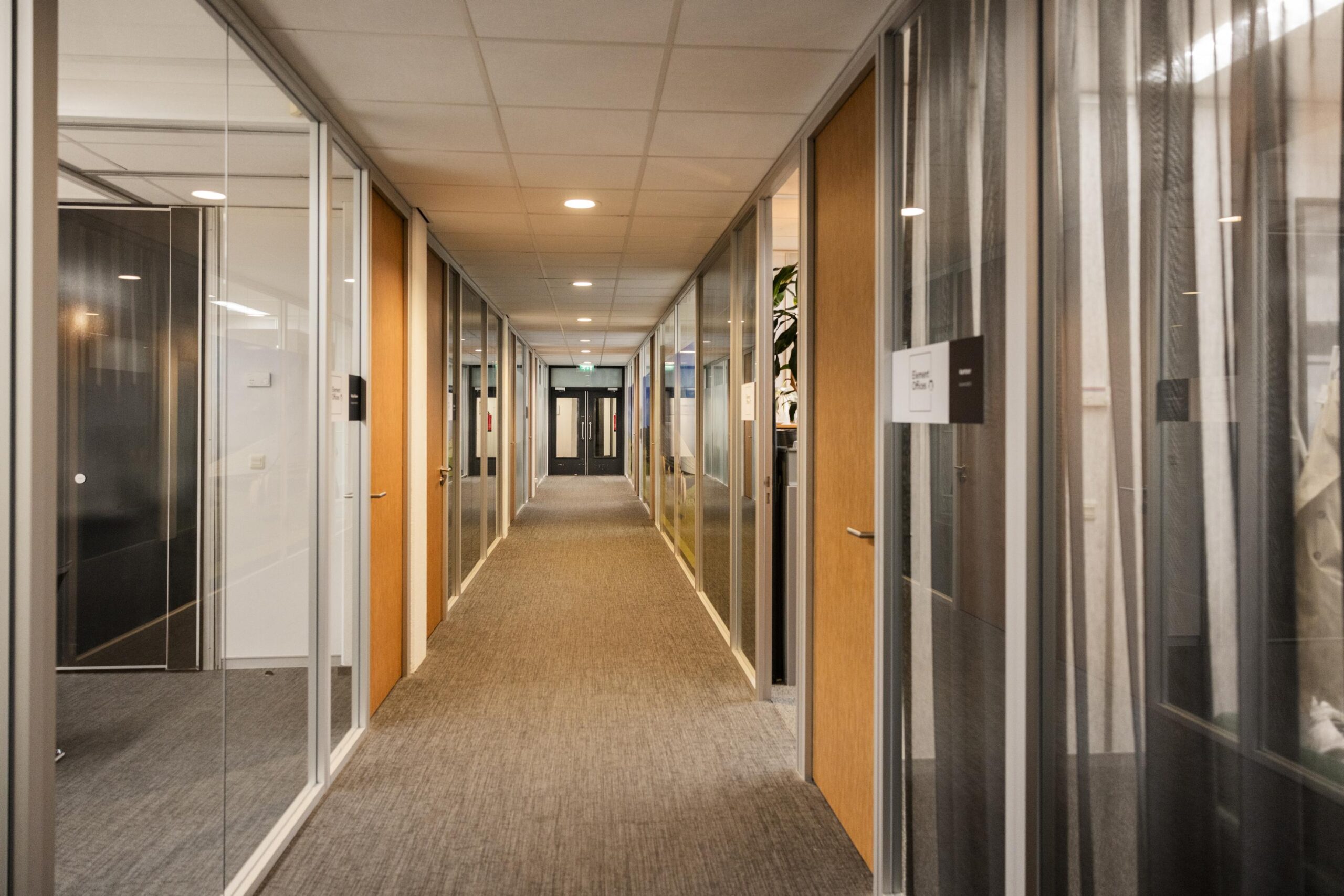 Een moderne kantoorhal met glazen wanden en houten deuren langs beide zijden.