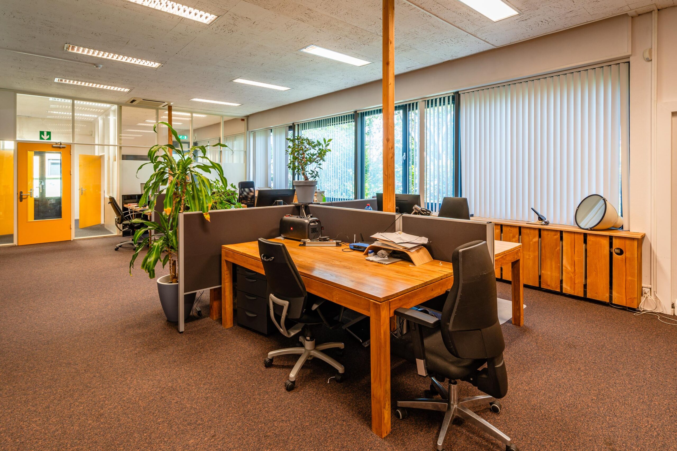Een modern kantoor met houten bureaus, scheidingswanden, bureaustoelen en planten, gelegen aan de Nicolaas Pieckstraat.