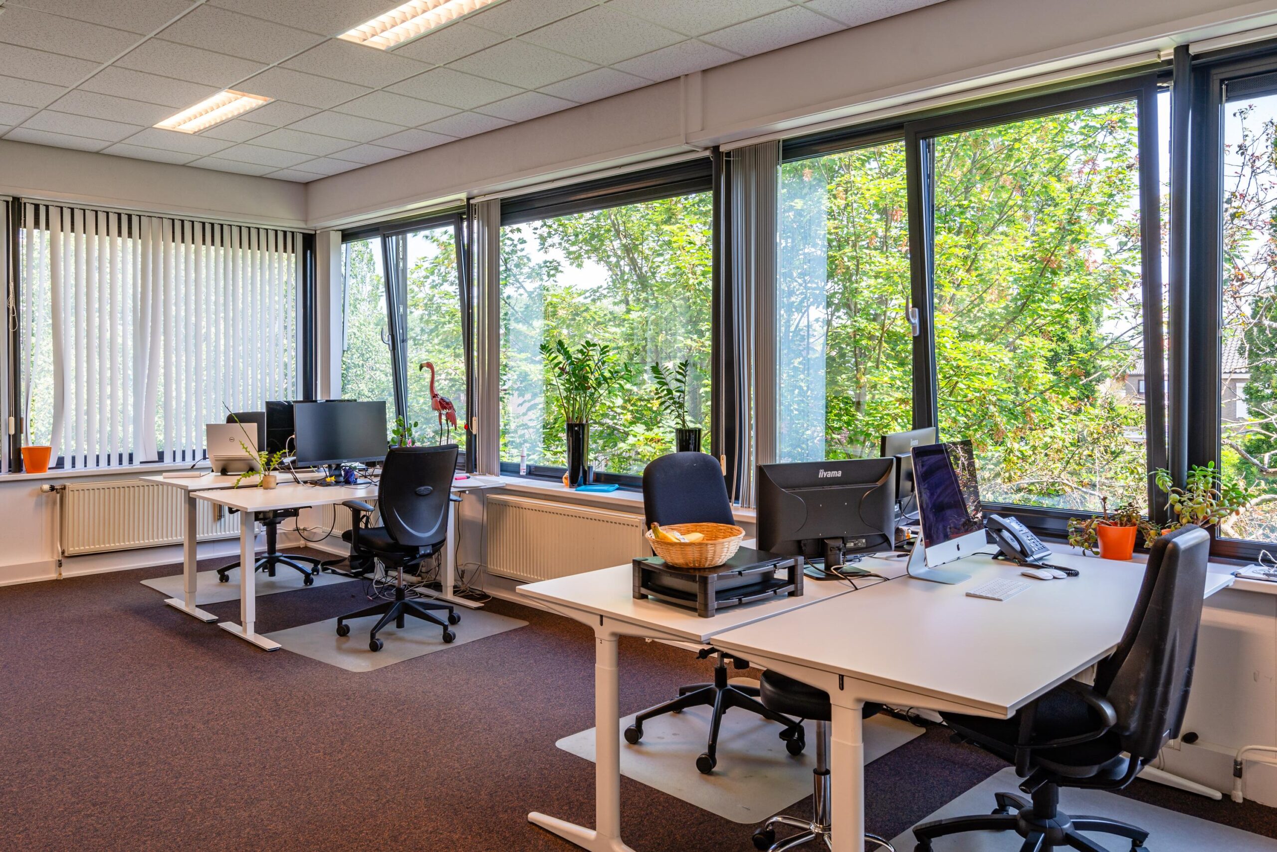 Een modern kantoor met bureaus en computers, omringd door grote ramen met uitzicht op bomen.