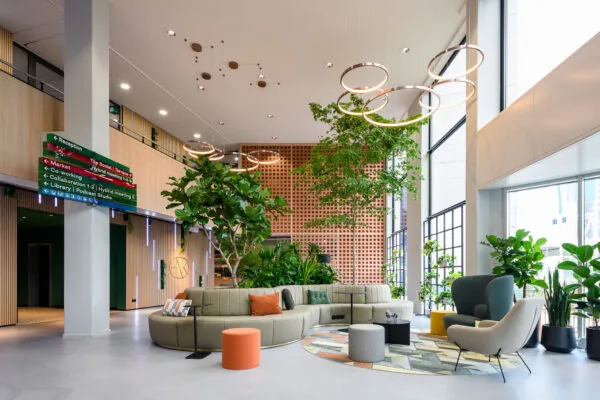 Moderne, lichtovergoten lounge- en werkruimte met groen meubilair, planten en decoratieve verlichting.