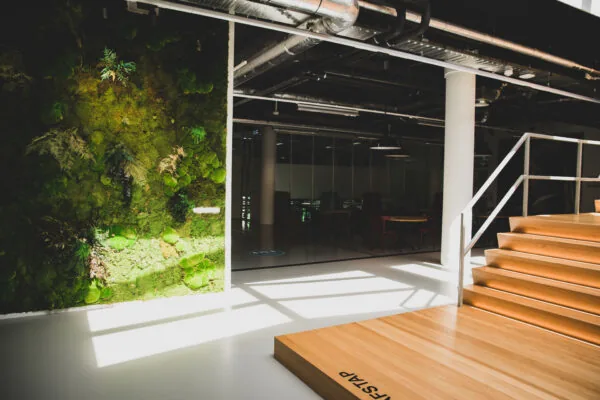 Moderne kantoorruimte in HNK Den Haag met een groene moswand en houten trap in zonlicht.