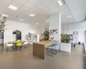 Moderne en lichte kantoorruimte aan de Panamalaan 104 in Amsterdam met flexibele werkplekken, vergadertafel en veel groen.