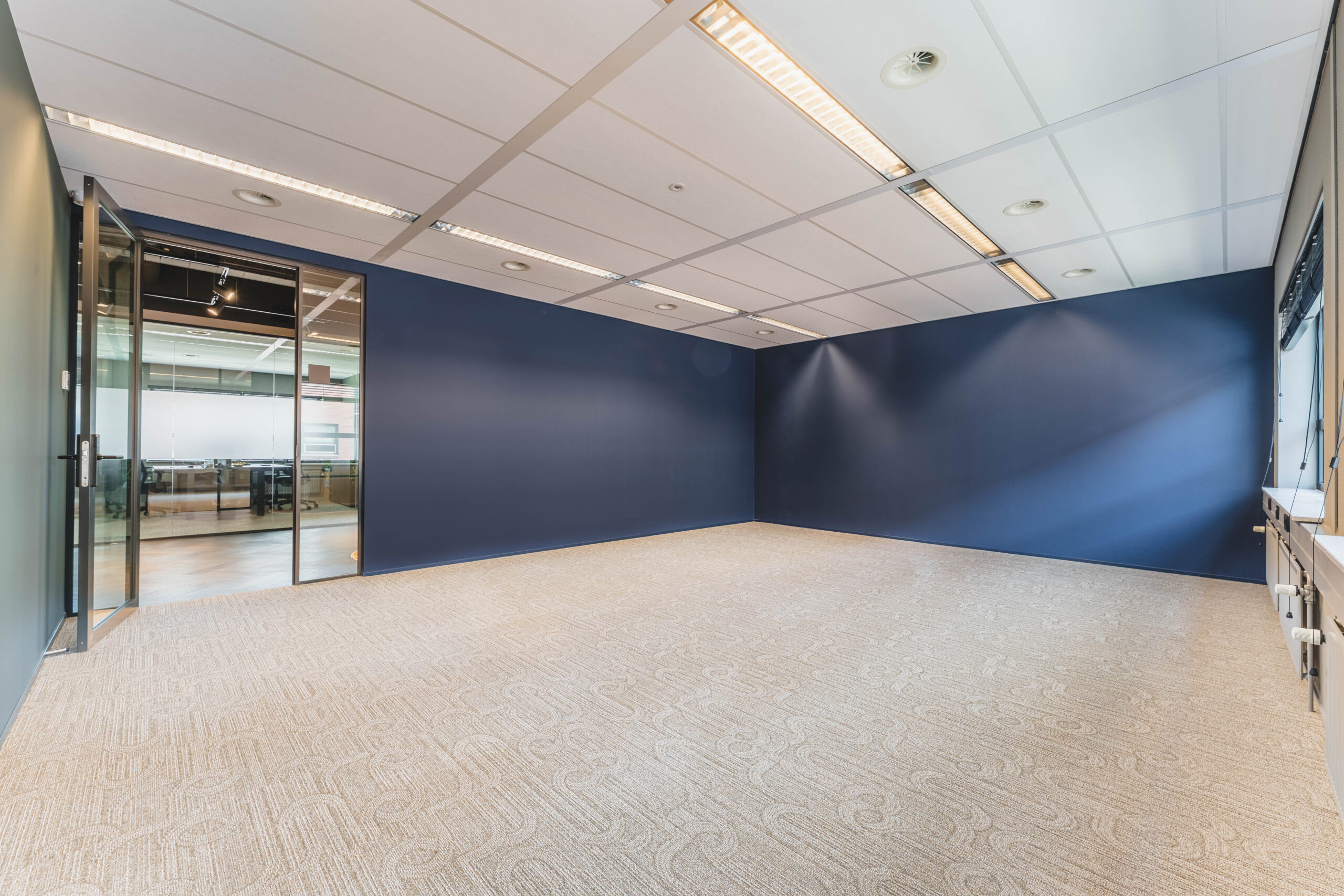 Lege kantoorruimte met blauwe muren en beige tapijt.