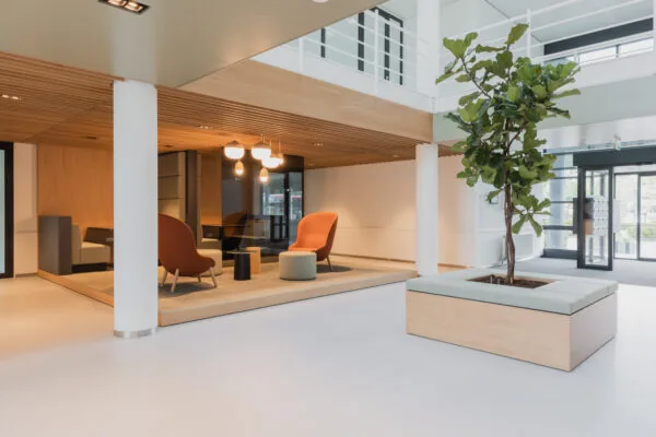 Moderne en lichte entree van HNK Amsterdam Zuidoost met een zithoek, houten plafonddetails en een grote plant in een zitbank.