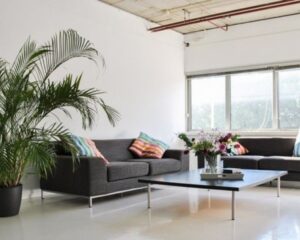 Moderne loungehoek in kantoorruimte aan de Anthony Fokkerweg 21 in Amsterdam met grijze banken, kleurrijke kussens, een grote plant en een lage salontafel met bloemen.