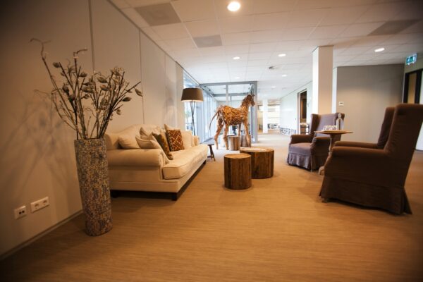 Moderne wachtruimte aan de Orteliuslaan met comfortabele zitplaatsen, houten decorpaarden en natuurlijke accenten.