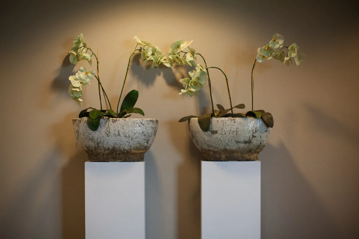 Twee keramieken bloempotten met witte orchideeën op witte sokkels tegen een beige muur.