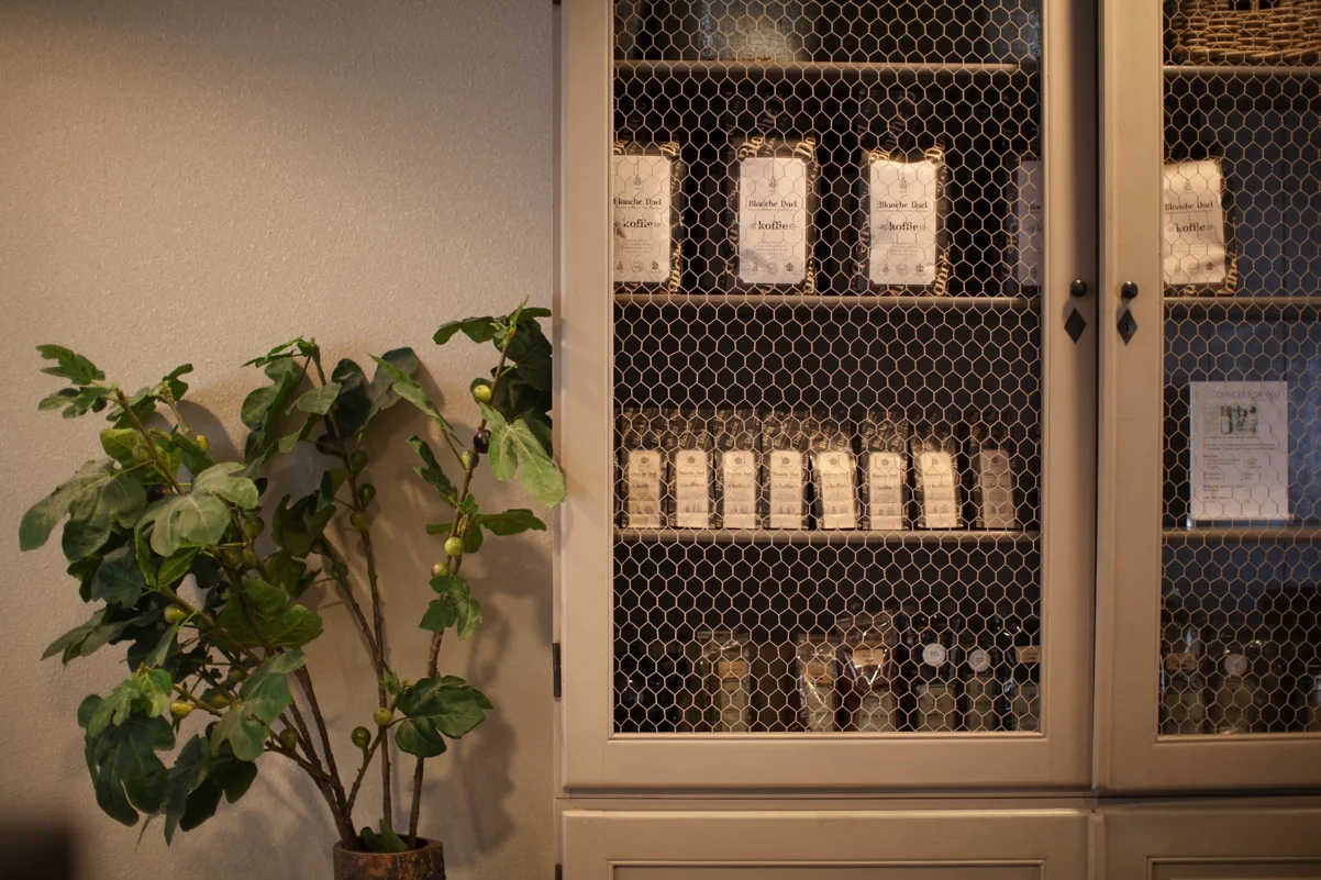 Een kast met gaasdeuren gevuld met koffieverpakkingen, flessen en papieren, naast een groene kamerplant.