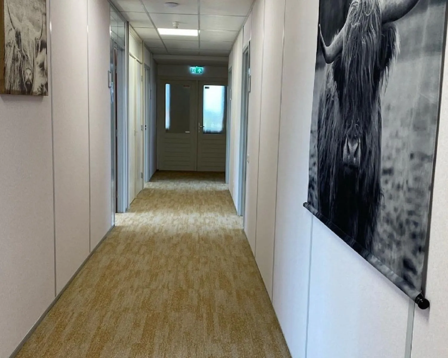 Verlichtte gang in een kantoorruimte aan de Kamerlingh Onnesweg 10 in Barendrecht, met beige vloerbedekking en wanddecoratie van Schotse hooglanders.