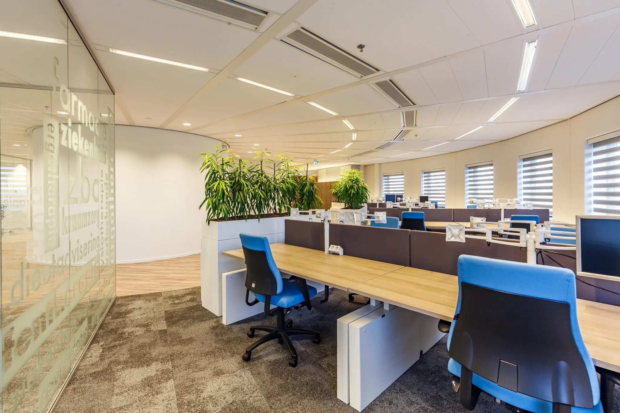 Modern kantoorinterieur aan de Euclideslaan met open werkplekken, blauwe bureaustoelen en groene planten als afscheiding.