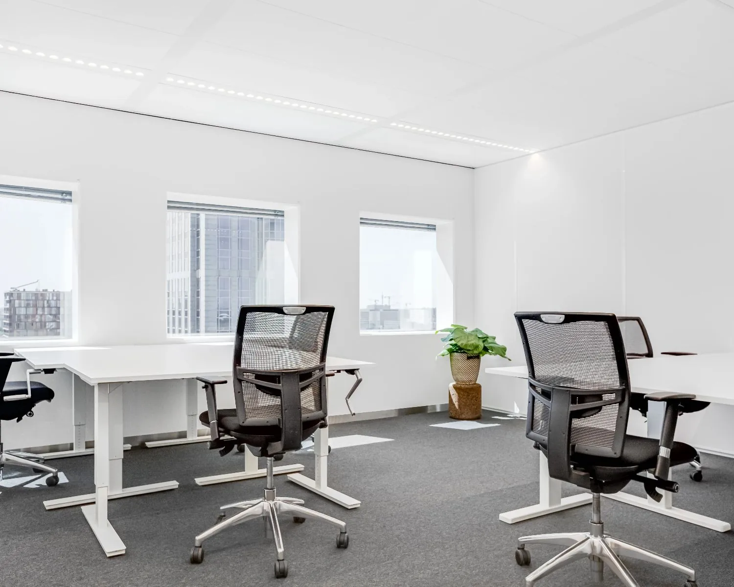 Moderne, lichte kantoorruimte met bureaus en bureaustoelen in Delftse Poort aan het Weena in Rotterdam.