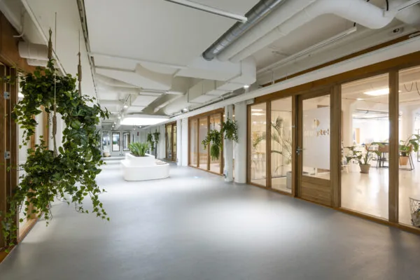 Moderne en lichte kantoorruimte in HNK Diemen met glazen wanden, groene planten en het logo van Storyte! op een deur.