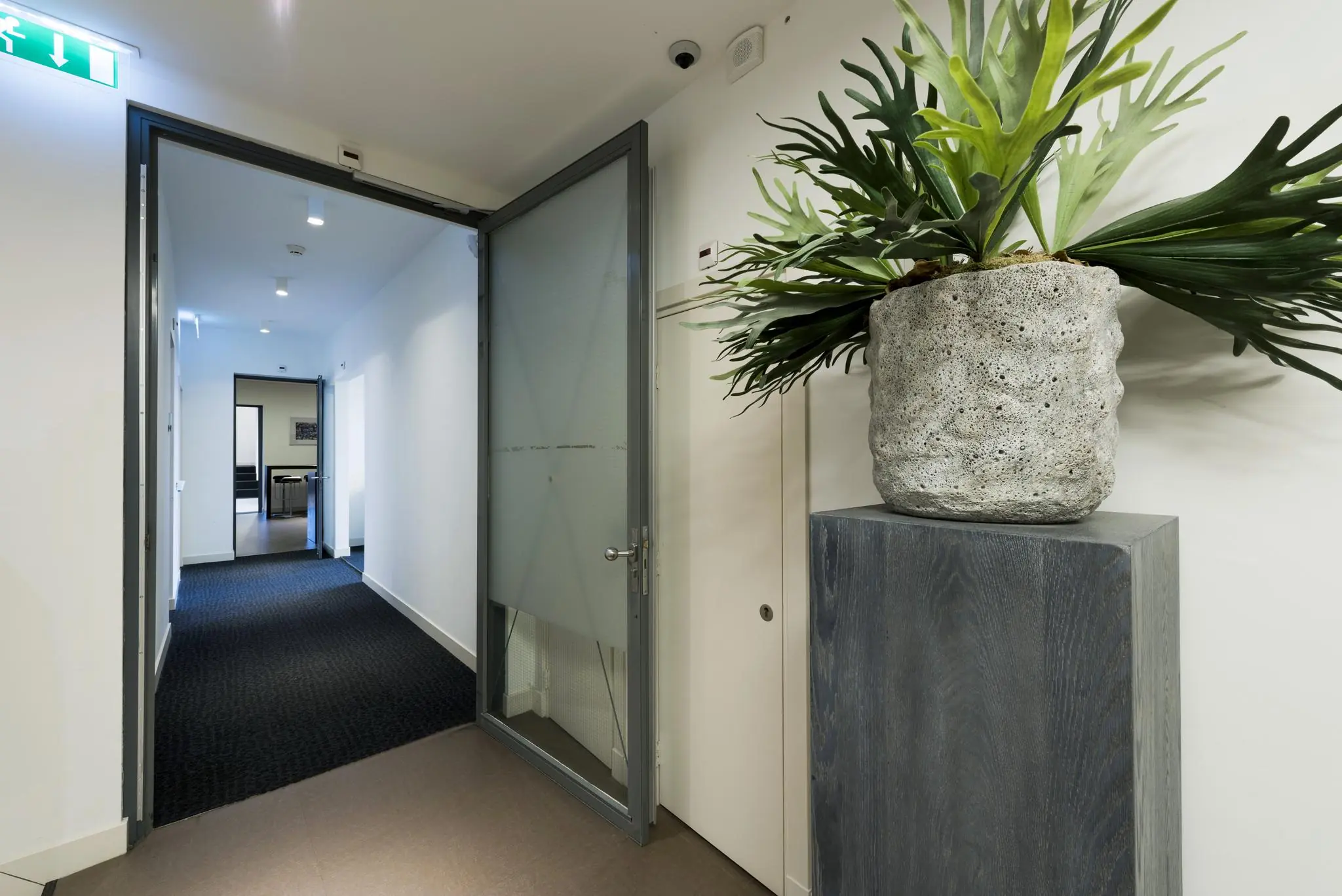 Moderne kantoorhal aan de Herengracht met open deur, zwarte vloerbedekking en een grote plant in betonnen pot op sokkel.