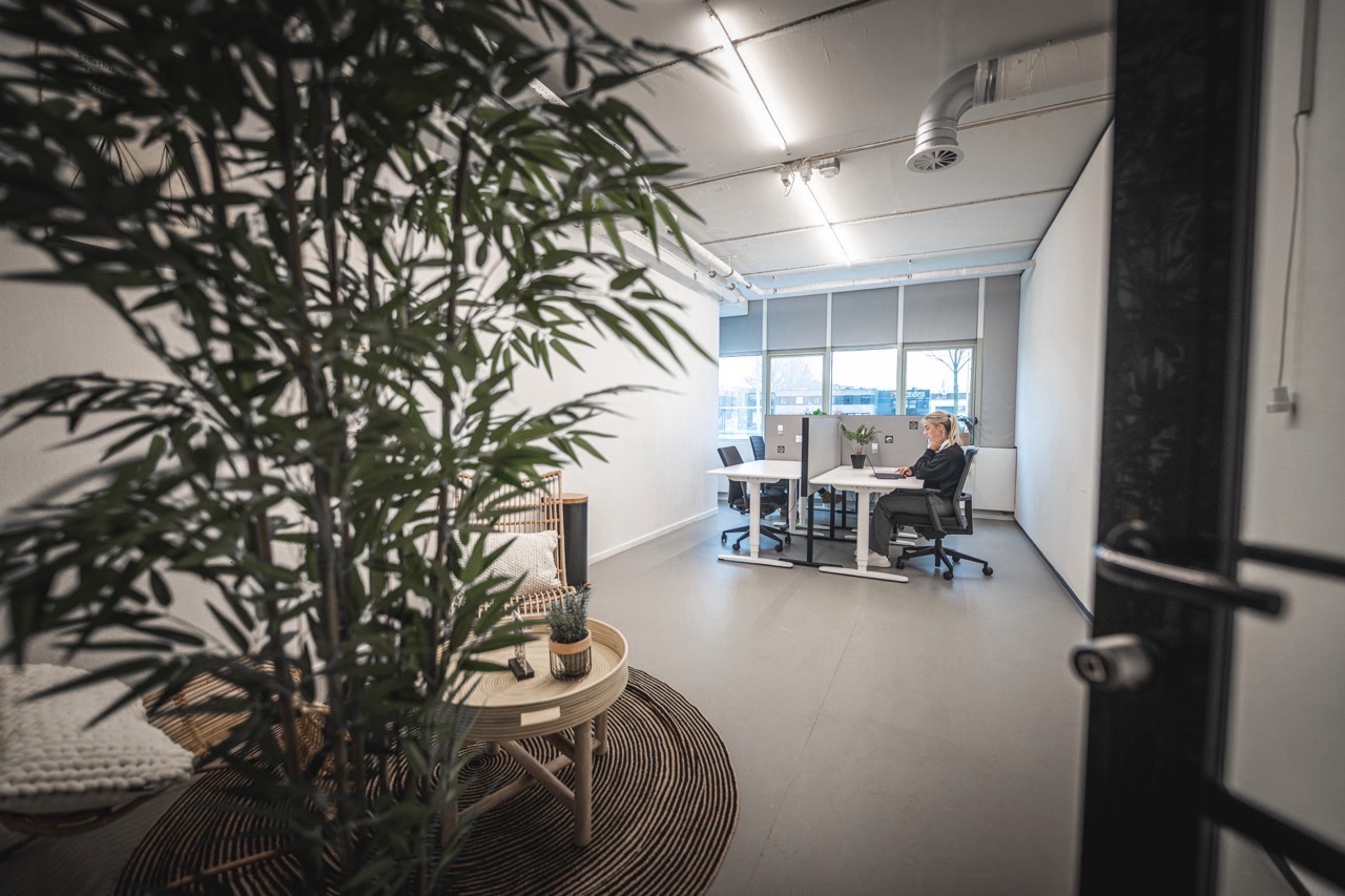 Moderne flexwerkplek in Delta 3 met grote ramen, een werkende persoon en een gezellige zithoek met planten op de voorgrond.